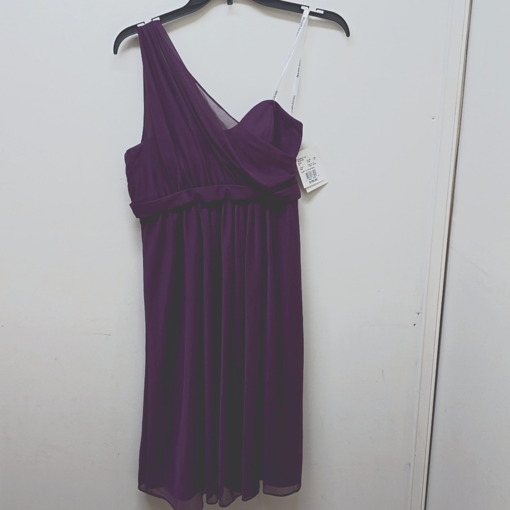 David's Bridal Formal Purple Dress - Size 6